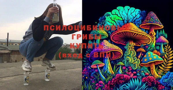 крисы Беломорск