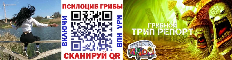 Галлюциногенные грибы Cubensis  Зеленоградск 