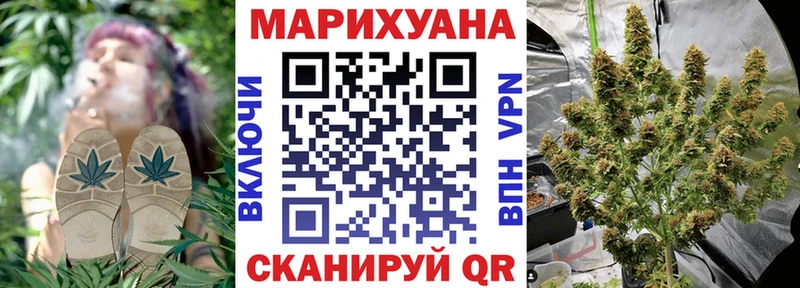 Бошки марихуана AK-47  как найти наркотики  Зеленоградск 